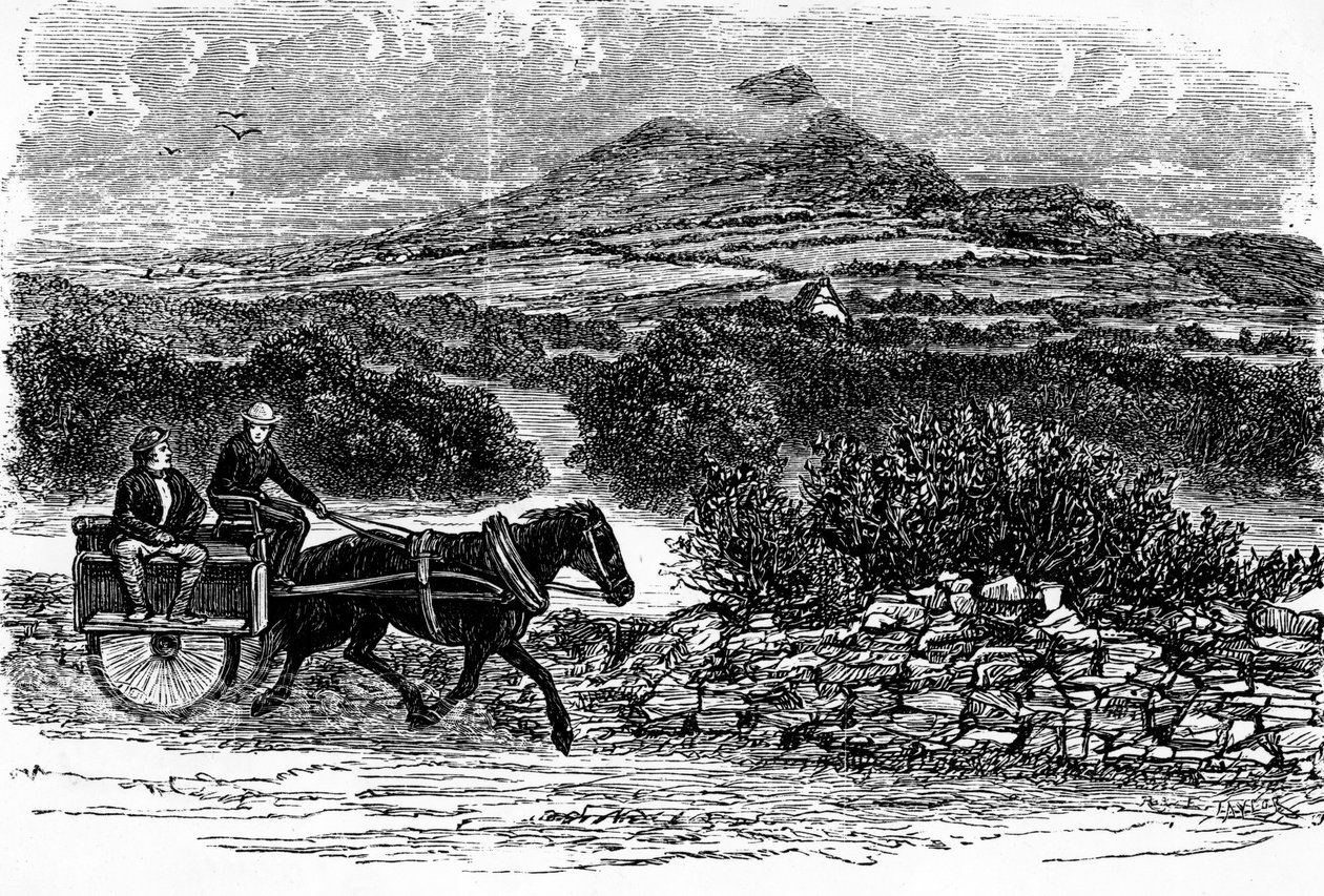 County Wicklow, tryck gjort av E. Taylor av Irish School