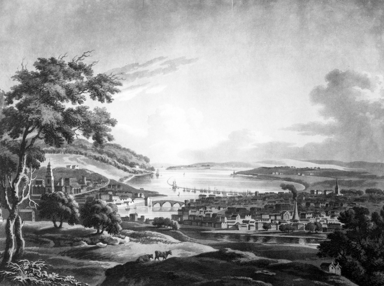 The City of Cork, 1799 (mezzotint) av Irish School