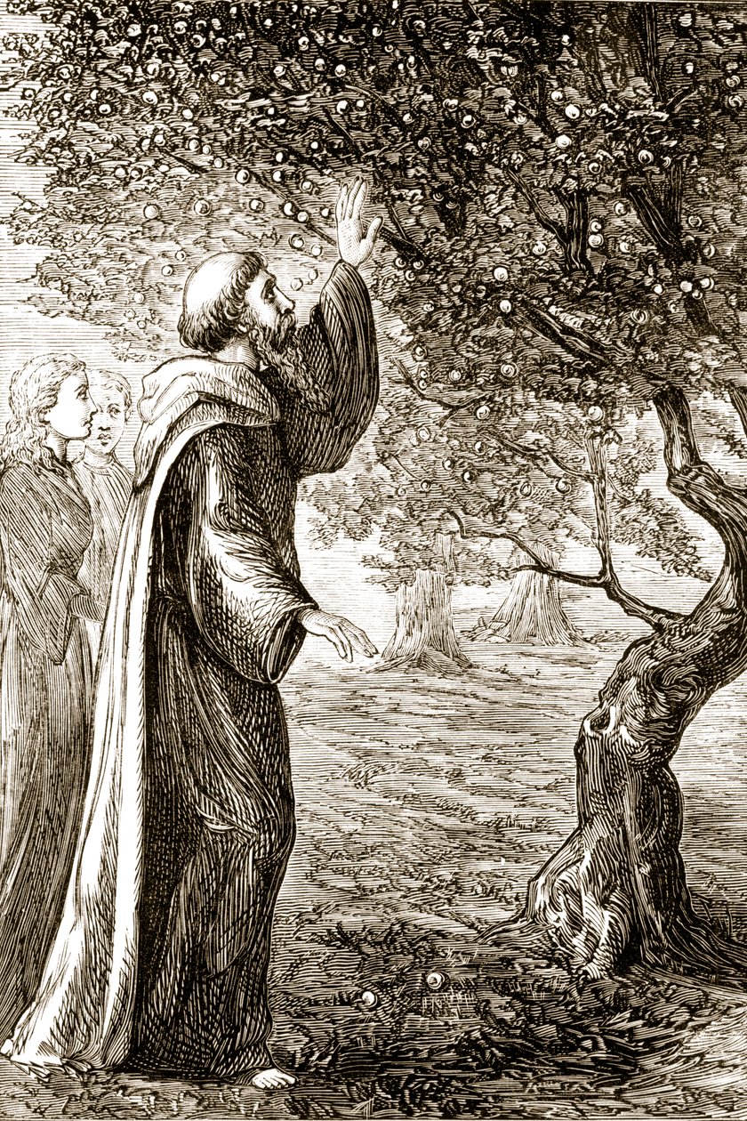 St. Columba förvandlar bitter frukt till söt, från The Trias Thaumaturga, eller Three Wonder-Working Saints of Ireland, av Mary Cusack (1829-99) publicerad ca 1890-talet av Irish School