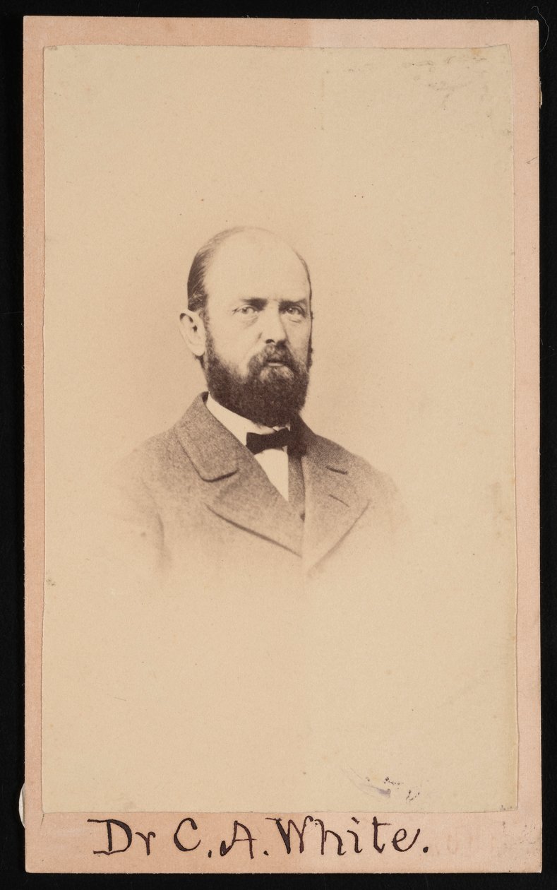 Porträtt av Charles Abiathar White 1826-1910, 1868. av Isaac Augustus Wetherby
