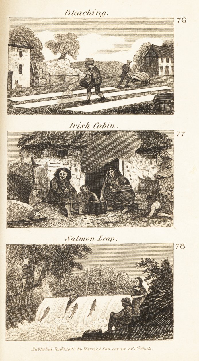 Handlar i Regency Ireland: blekning, irländsk stuga och laxsprång av Isaac Taylor