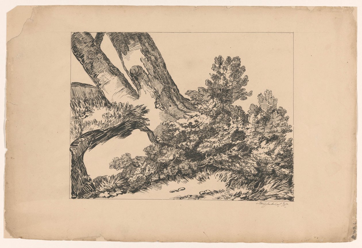 Vegetation under ett träd av Isaac Weissenbruch