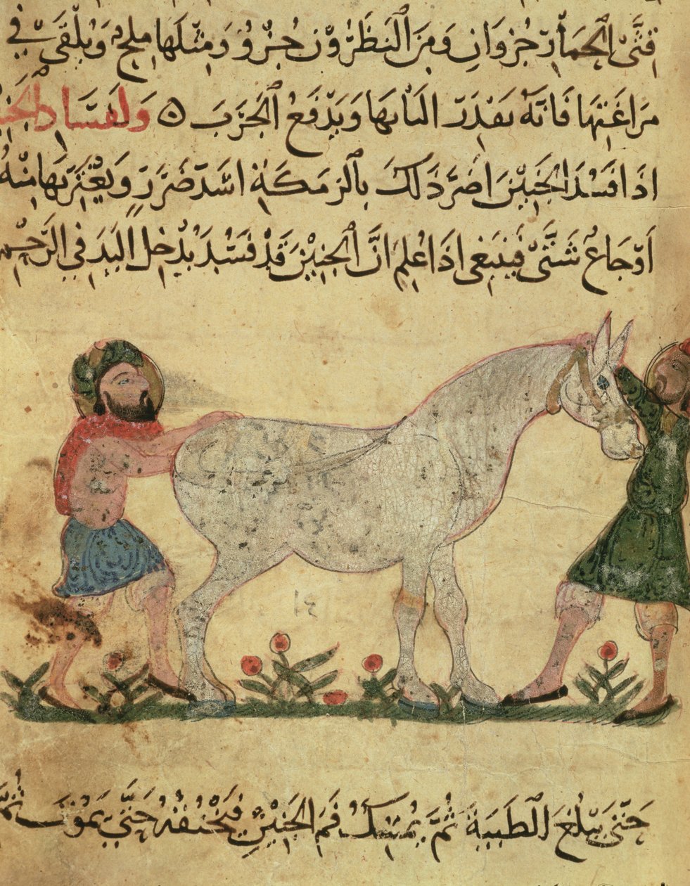 En veterinär som hjälper ett sto att föda, illustration från "Boken om hovslageri" av Ahmed ibn al-Husayn ibn al-Ahnaf, 1210 av Islamic School