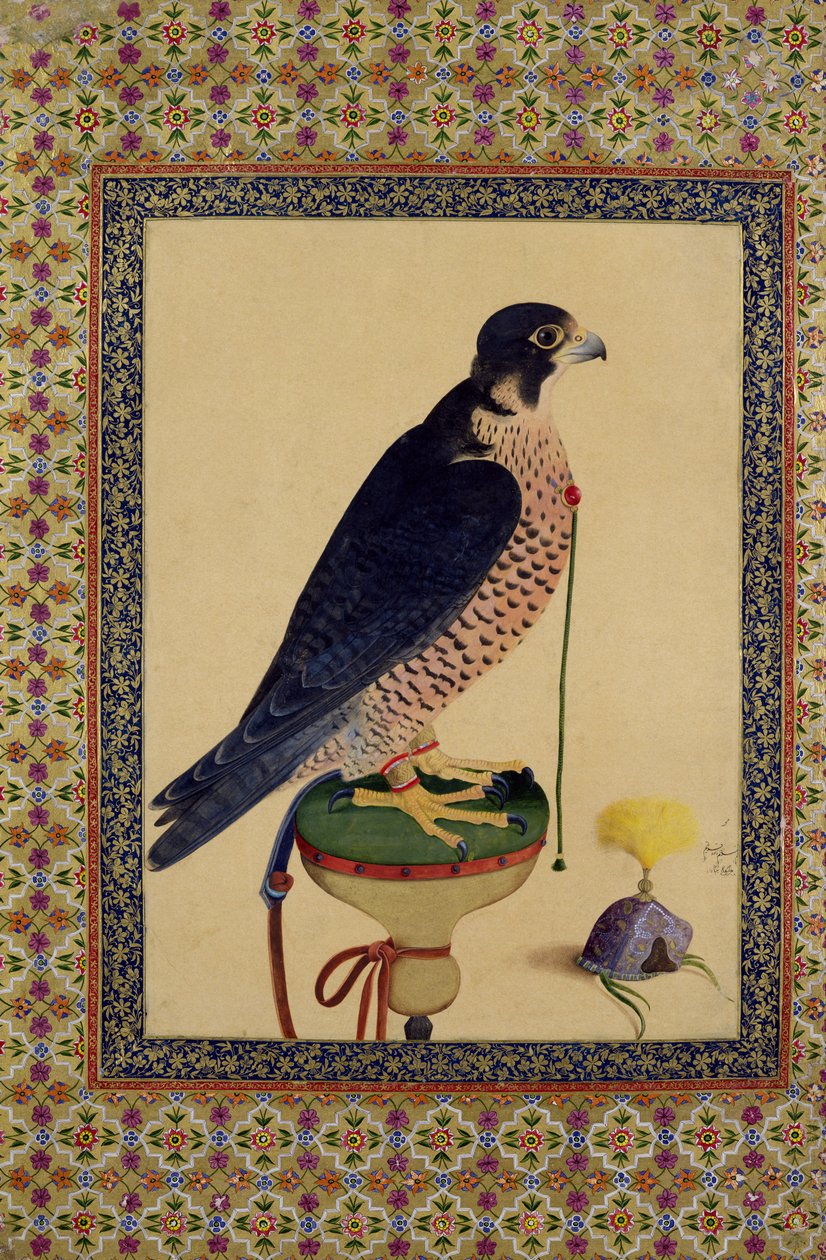 Ms E-14 Falcon, mai le Moraqqa swed av Islamic School