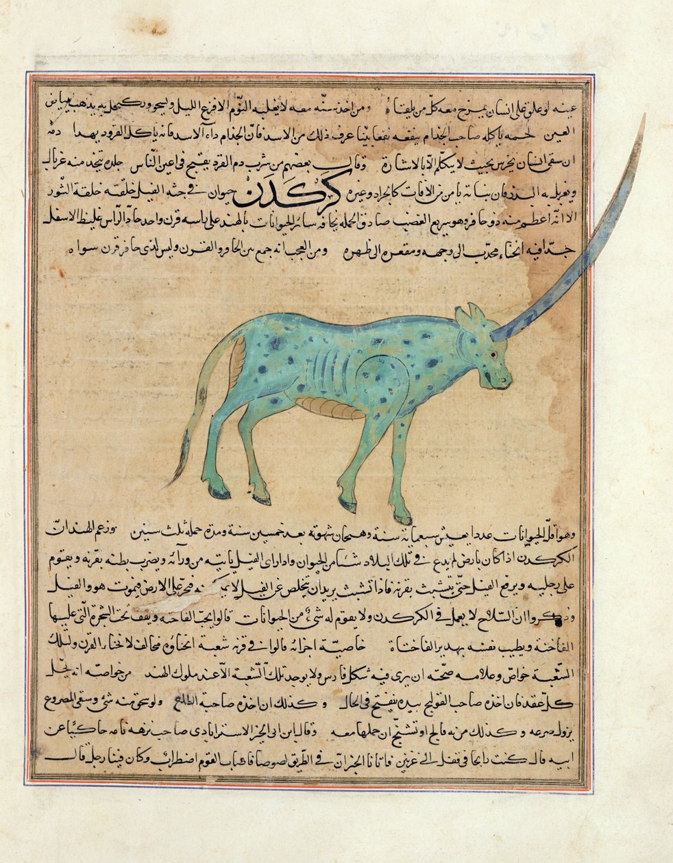 Ms E-7 fol.191b Noshörning, illustration från "Skapelsens underverk och tillvarons kuriosa" av Zakariya