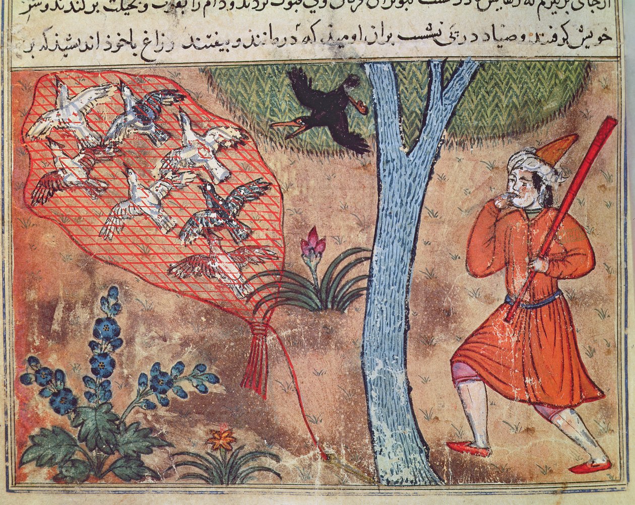 Hunting Birds, från 