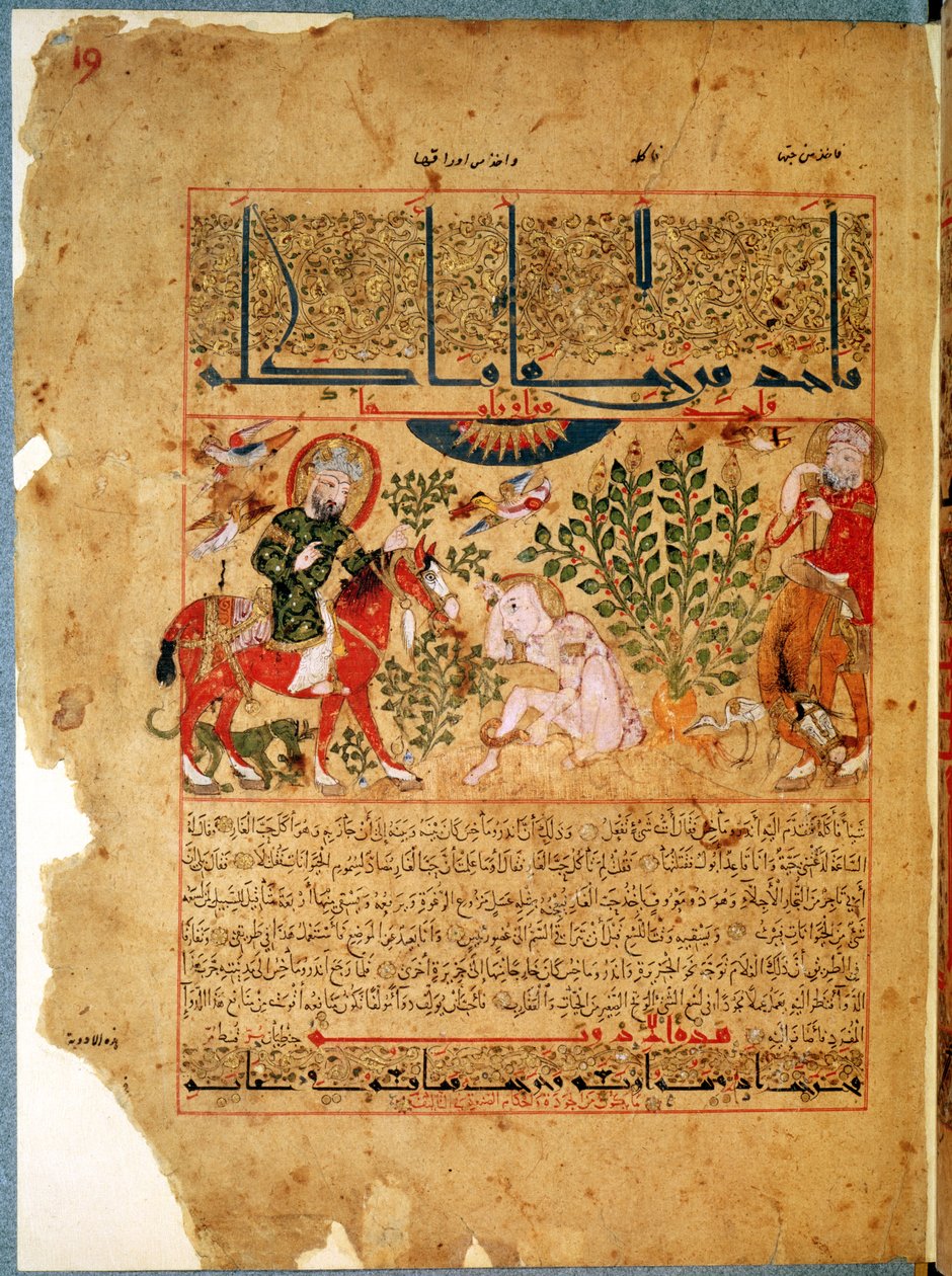 Ms. Arabe 2964 fol.19 Doktorn Anoromachus som botar sin bror som blivit biten av en orm, från Treatise of Theriac efter Galien, 1217 av Islamic School