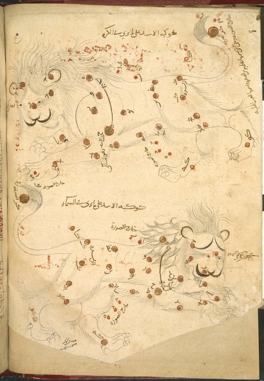 Eller 5323 f.45v Två lejon, illustration från 