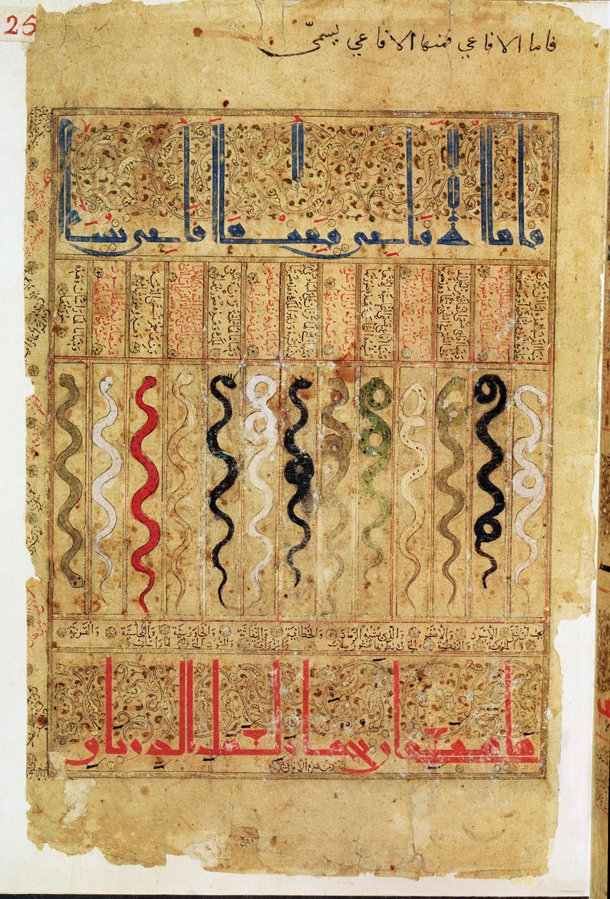 Treatise of Theriac efter Galien, 1217 av Islamic School