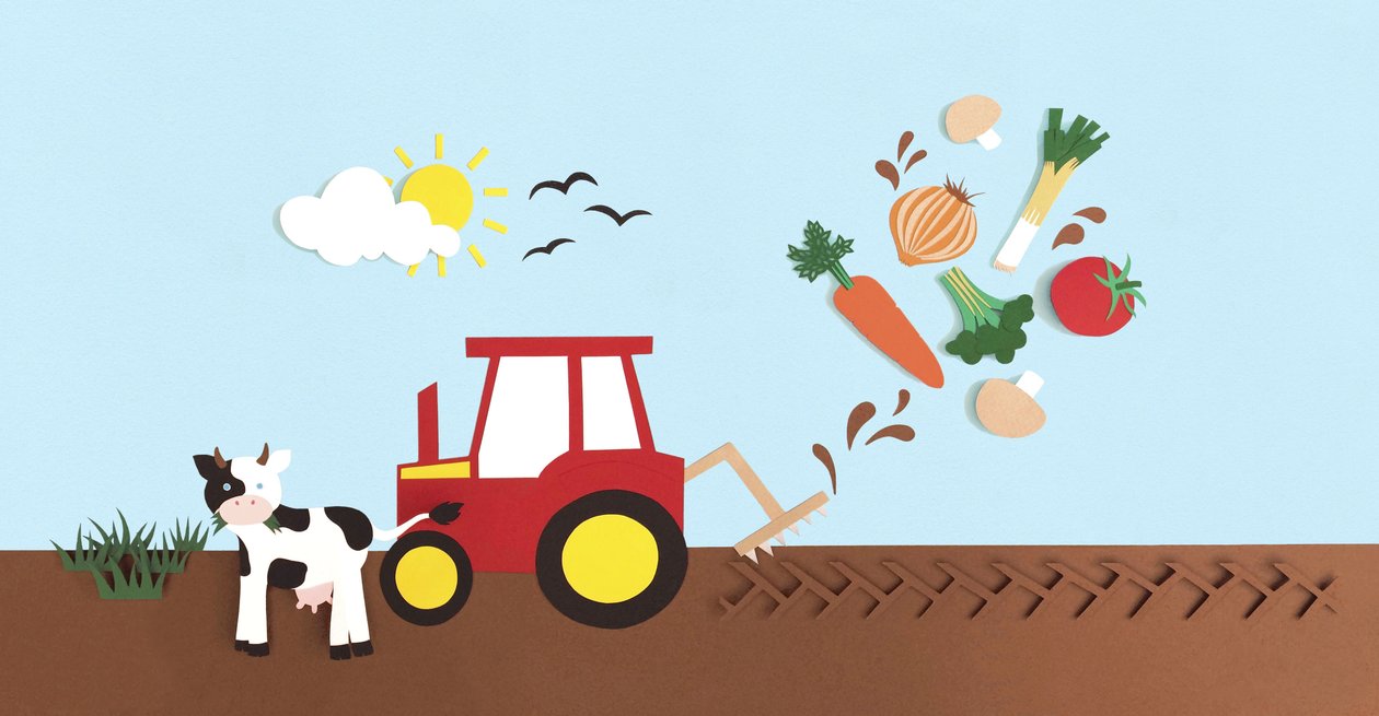 Farmyard, 2016 papper av Isobel Barber