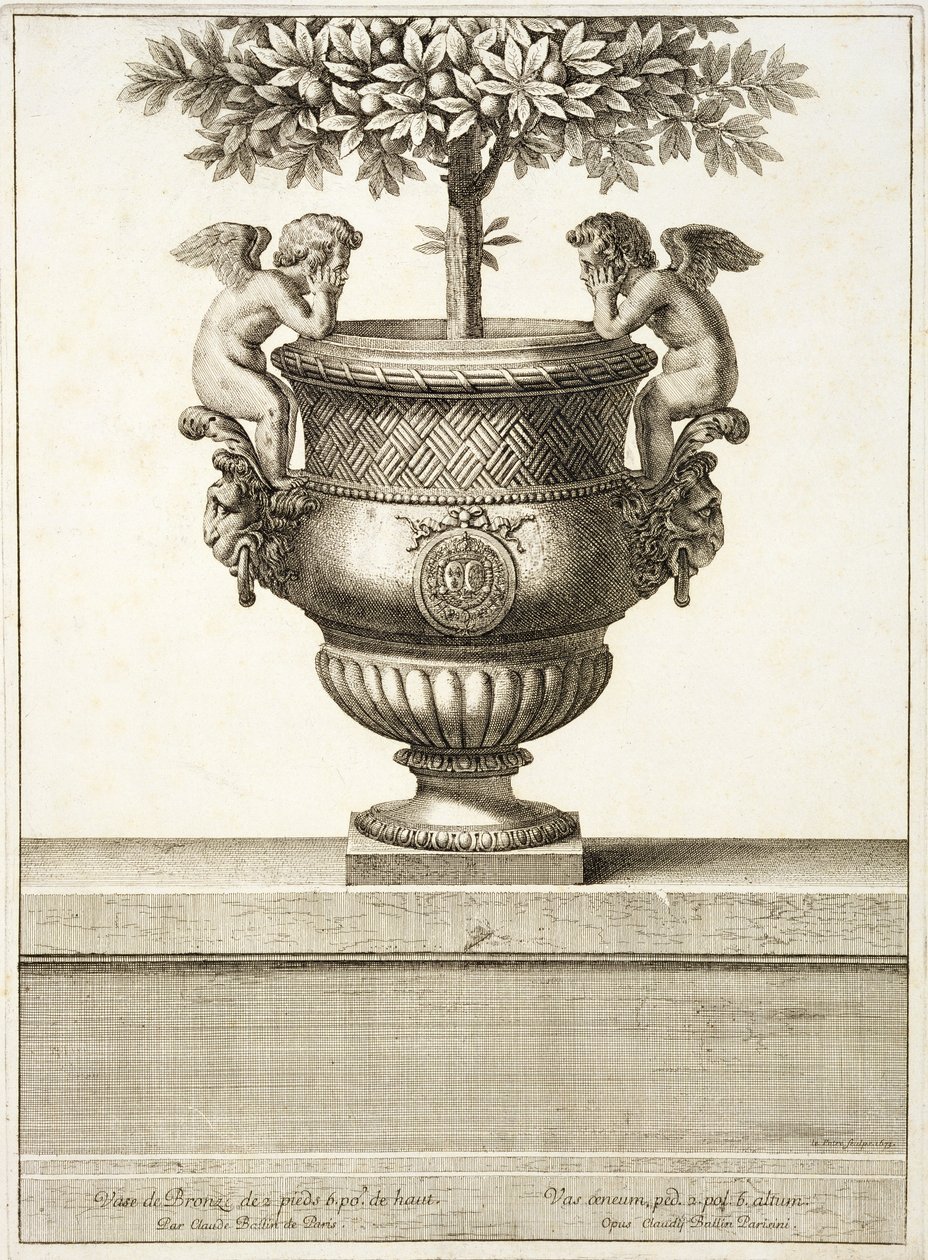 Bronsurnor som används för citrusträd, illustration från 