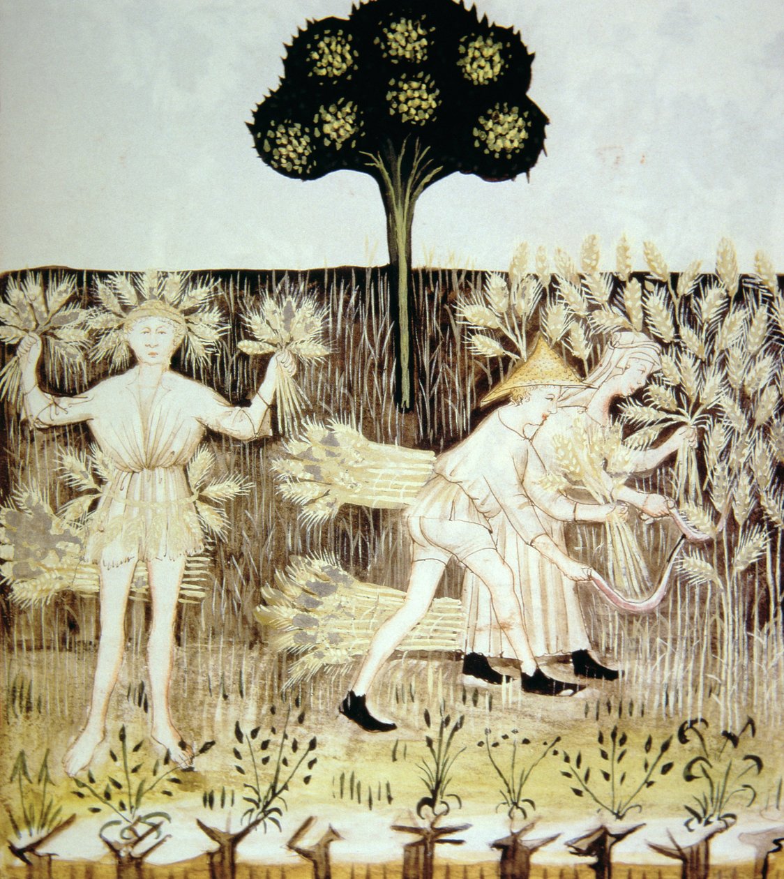 Fo.54r Summer: Harvesting the Wheat, illustration från Tacuinum Santiatis Codex Vindobonensis av Italian School
