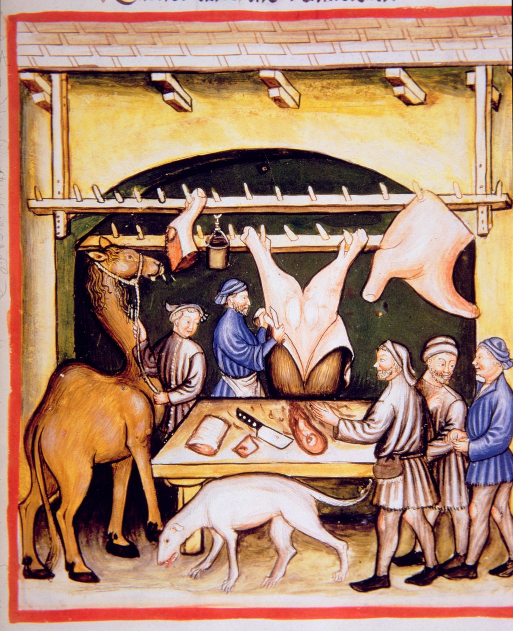 Fol.74r The Butchers: The Meat from Cows and Camels, illustration från Tacuinum Sanitatis Codex Vindobonensis av Italian School