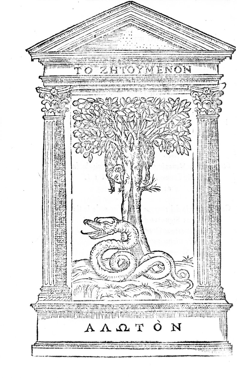 Illustration från 