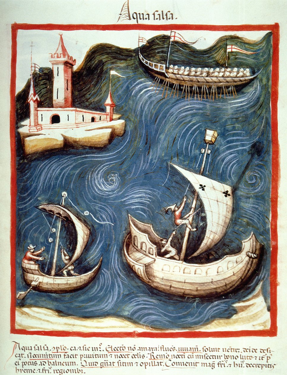 Nova 2644 f.88r Boats on the Sea, illustration från Tacuinum Santiatis Codex Vindobonensis av Italian School