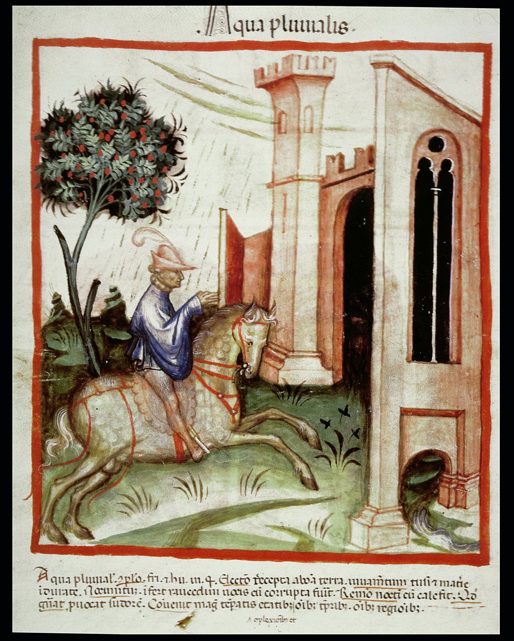 Nova 2644 fol.89v Regnvatten, från Tacuinum Sanitatis av Italian School