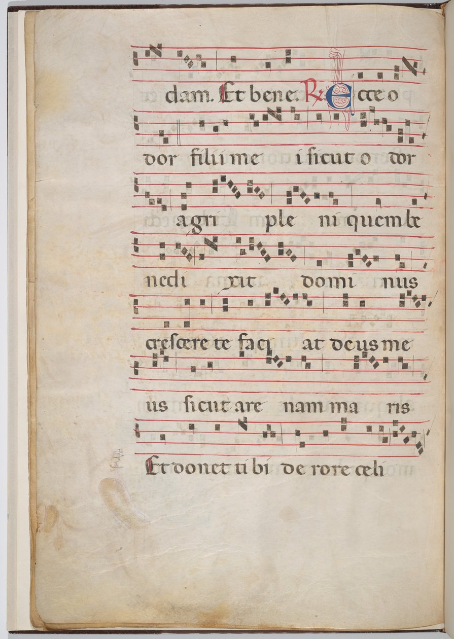 Blad 8 från ett antifonalt fragment (verso) av Italian 13th Century