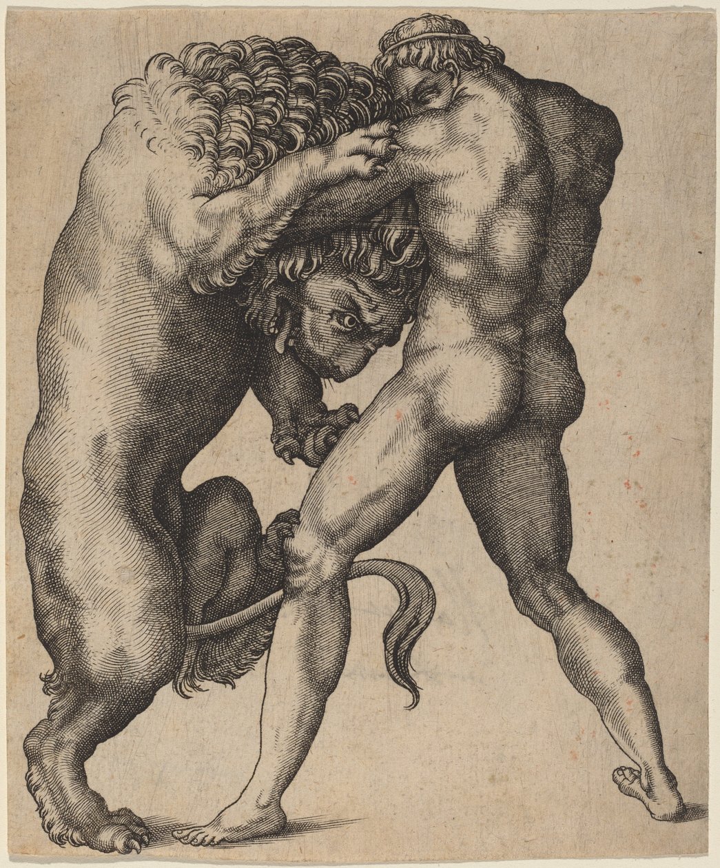 Herkules och det Nemeiska lejonet av Italian 16th Century