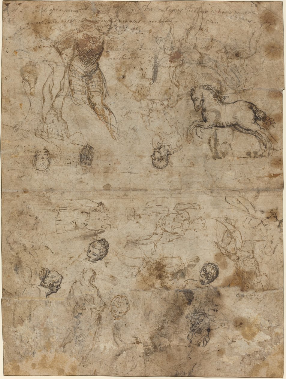 Studieblad av Italian 16th Century