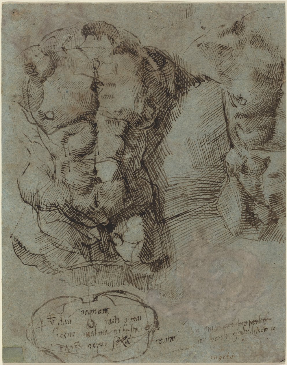 Studier av en manlig torso av Italian 16th Century