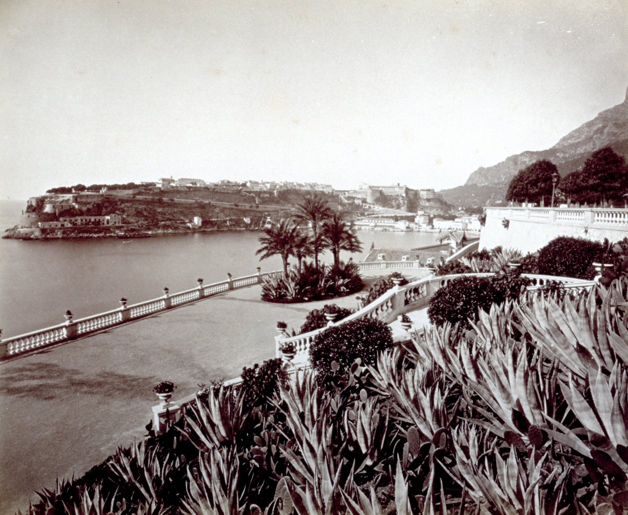 Panorama av Montecarlo. I förgrunden tät vegetation av agaveväxter och kaktus av Italian Photographer