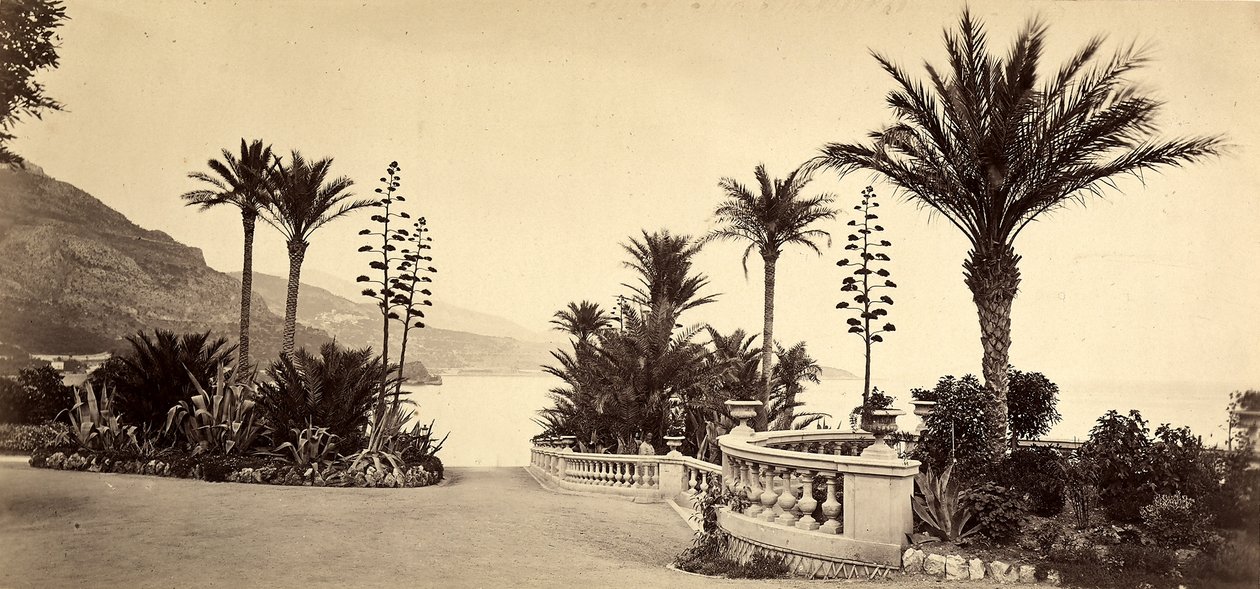 Trädgården på kasinot i Monte Carlo, i Monacos furstendöme av Italian Photographer