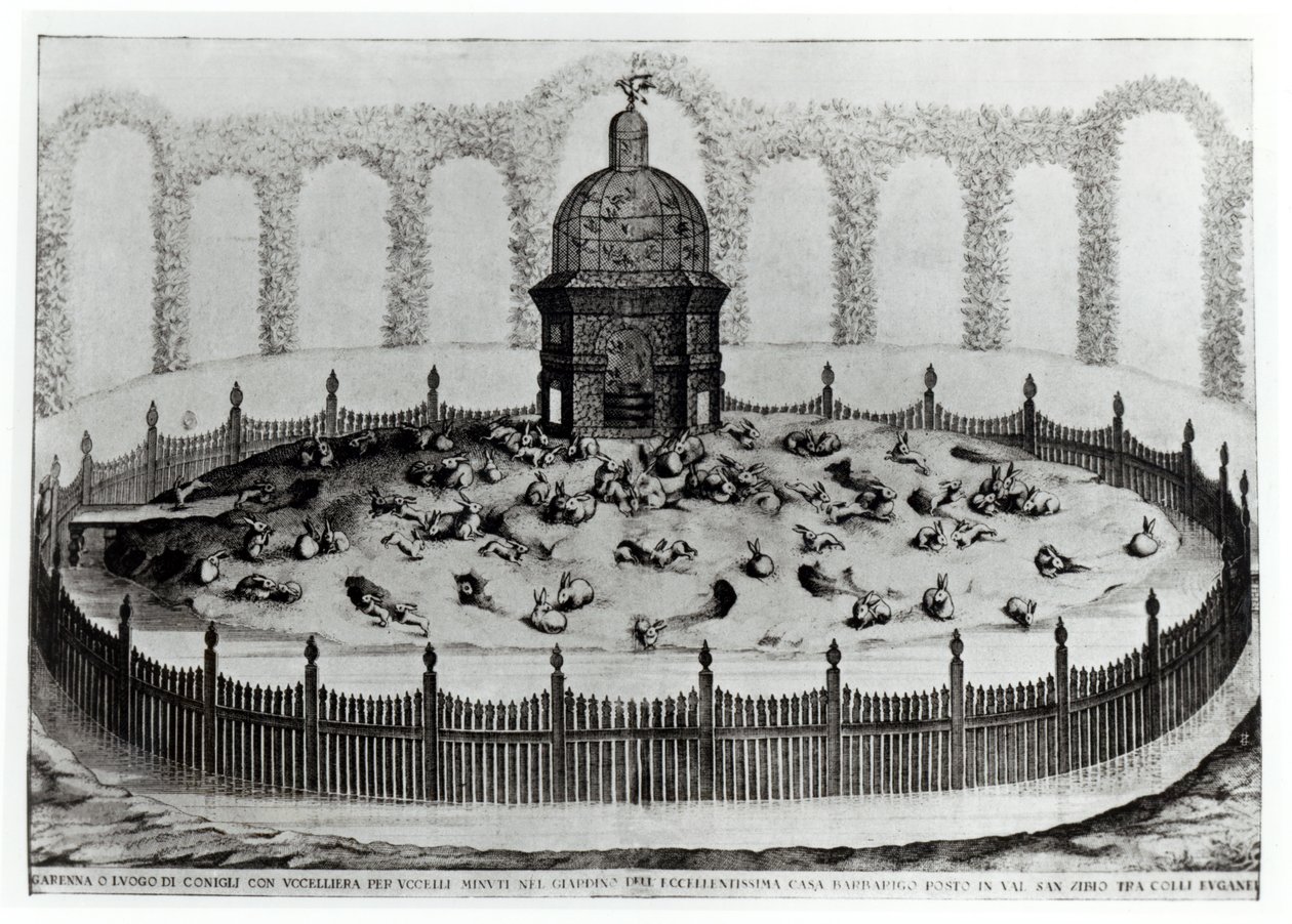 En kanin med voljär för småfåglar, från Le Fabbriche e i Giardini dellEcc. Casa Barbariga, av D. Rossetti, graverad av G. Campana, publicerad 1702 av Italian School