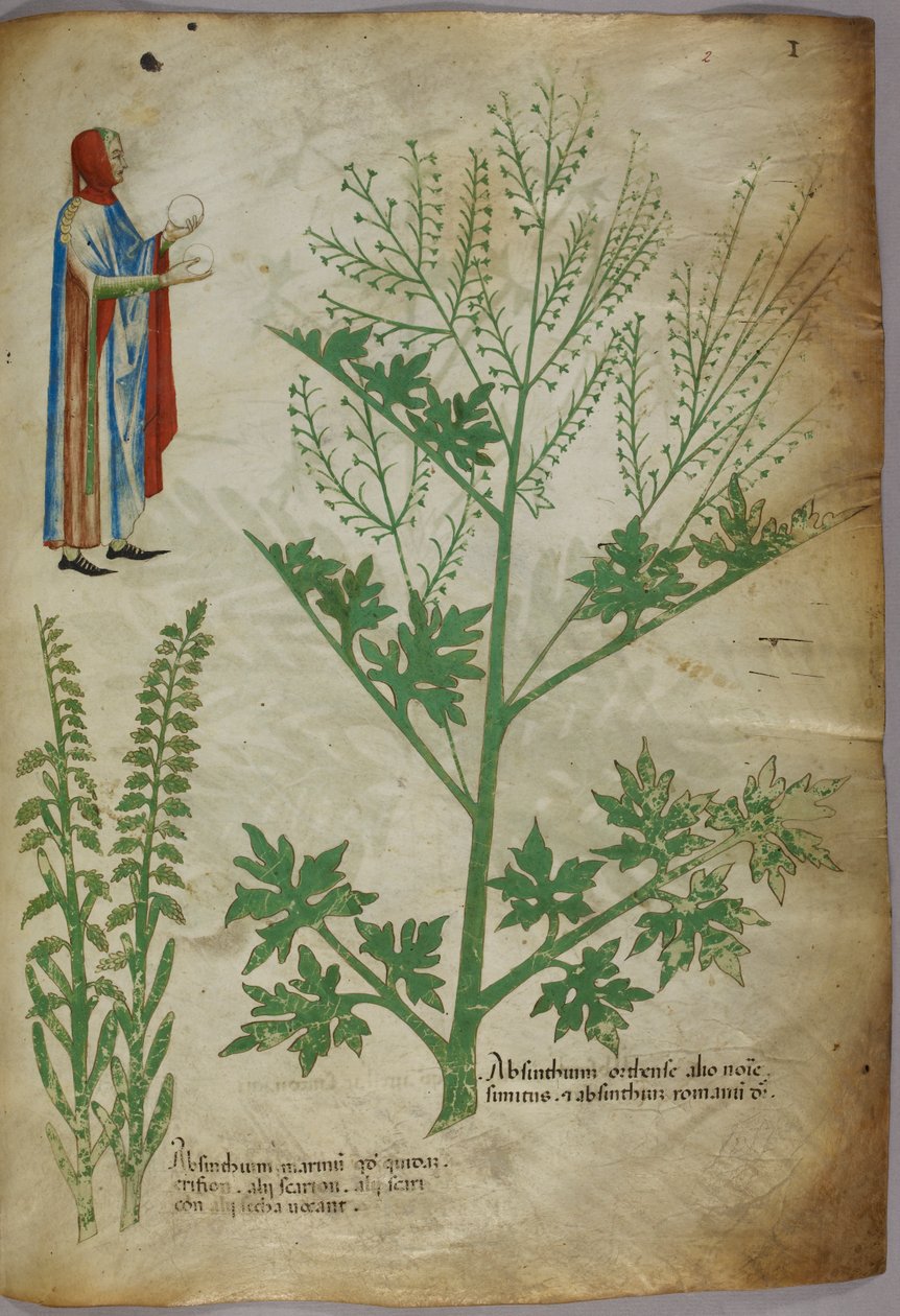 Figur i klänning med en vit jordglob i vardera handen; växter, ca 1440 (bläck och färg på pergament) av Italian School