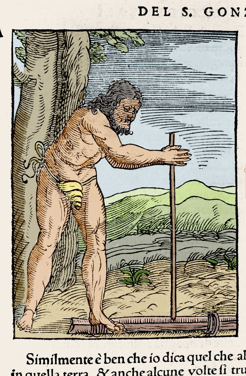 En infödd man tänder en eld genom att gnugga två stycken trä. Gravyr från "" Navigationi och Viaggi"" av Giovanni Battista Ramusio (1485-1557), vol. III, Venedig 1565. av Italian School