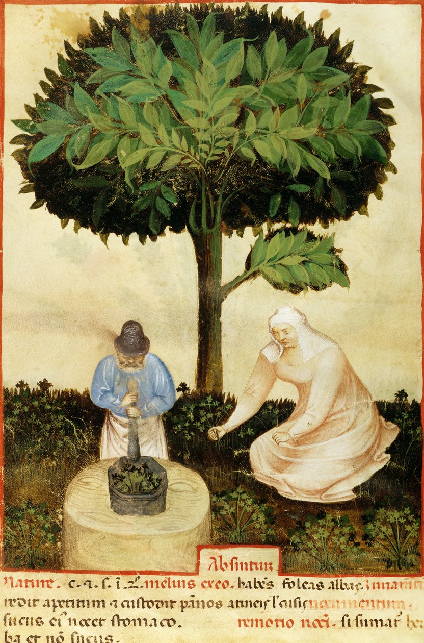 Absinthe, från ett manuskript om 