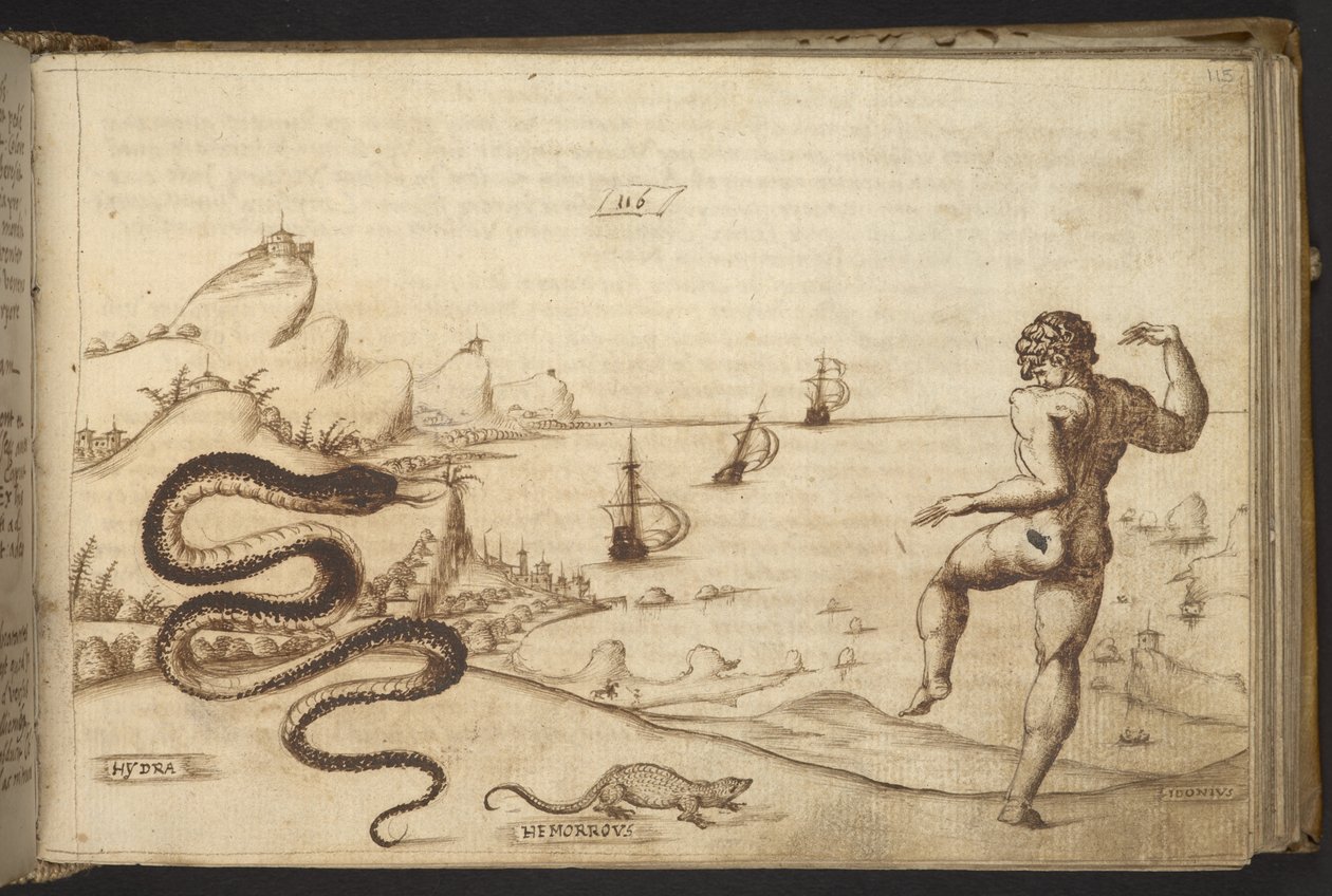Lägg till. 82955, f.115 Orm (