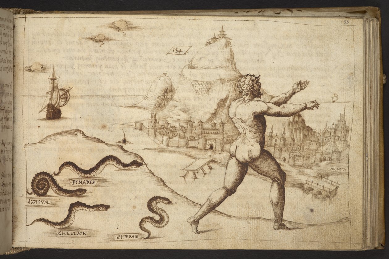 Lägg till. 82955, f.133   Ormar som jagar en mänsklig figur.  , från Historia Animalium, (bestående av 245 ritningar med penna och bläck av olika djurarter och mytiska varelser, var och en åtföljd av en beskrivning.)    1595 av Italian School