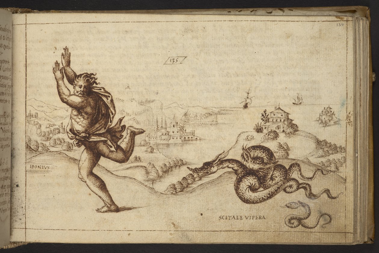 Lägg till. 82955, f.134 Människofigur förföljd av ormar., från Historia Animalium av Italian School