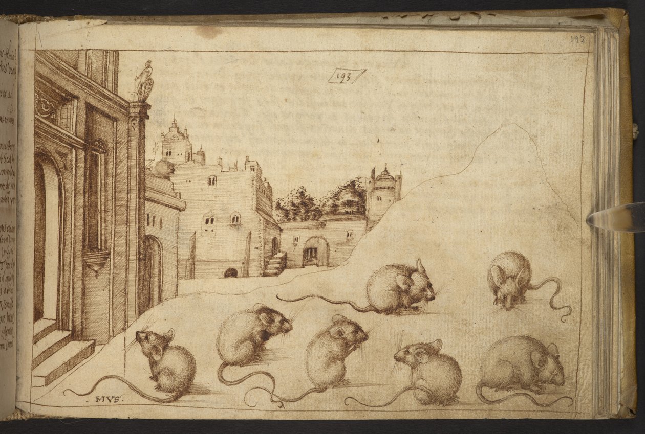 Lägg till. 82955, f.192   Möss (