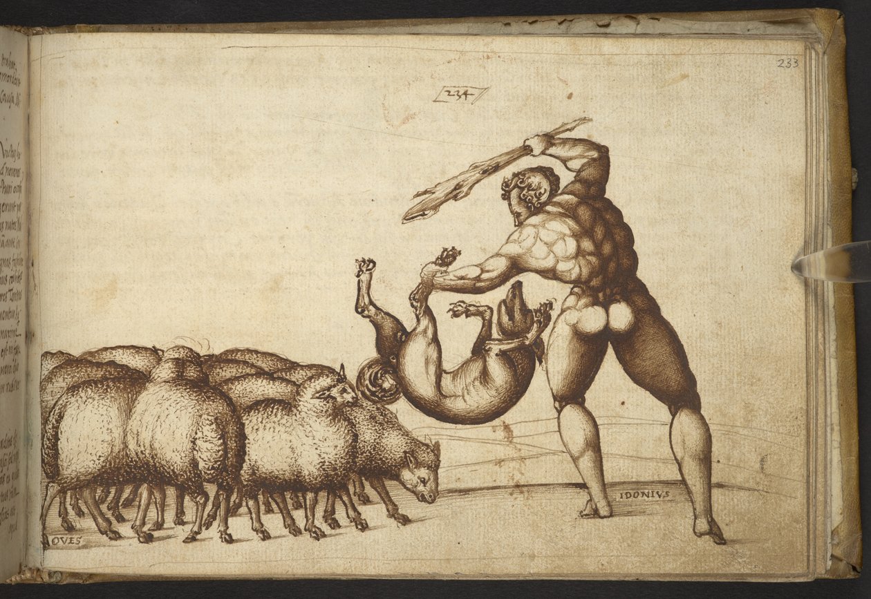 Lägg till. 82955, f.233 Får (