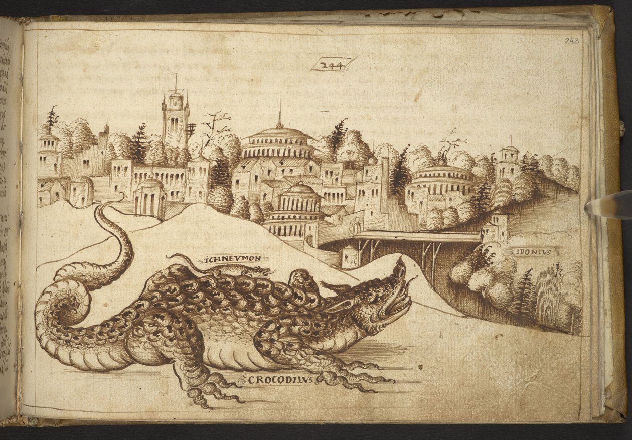 Lägg till. 82955, f.243 En krokodil (