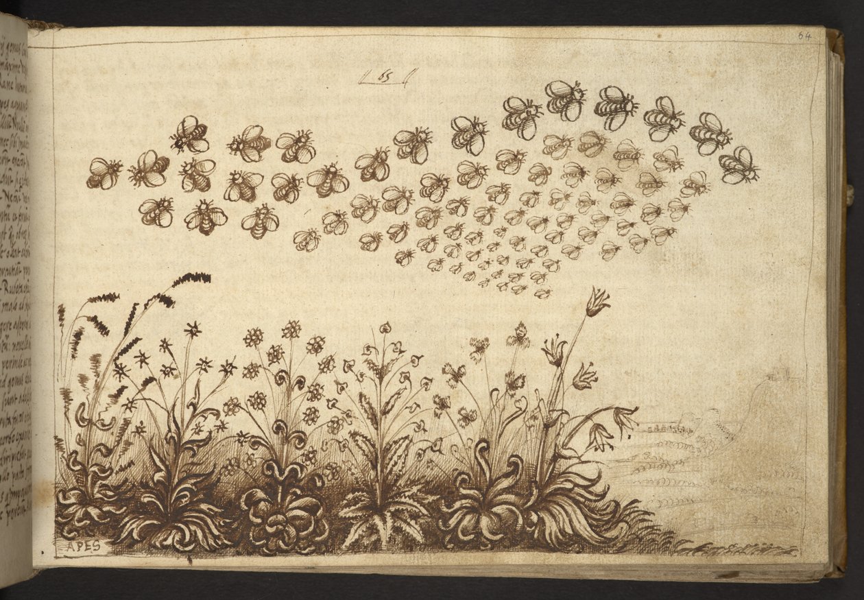 Lägg till. 82955, f.64 Bin (