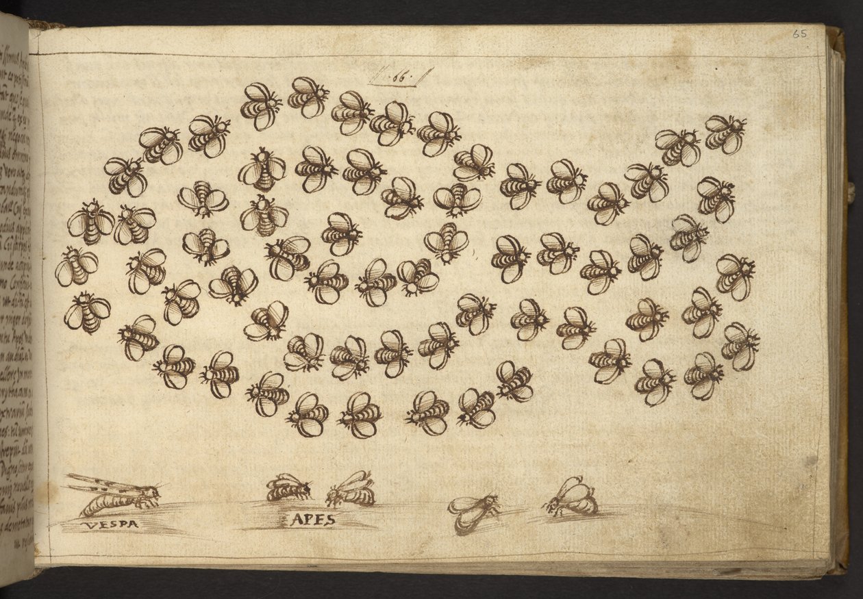 Lägg till. 82955, f.65 Bin (