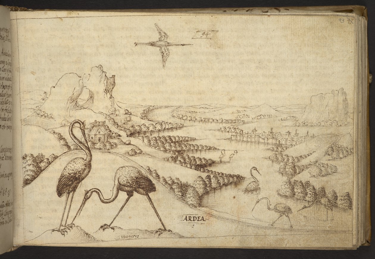 Lägg till. 82955, f.93 Häger (