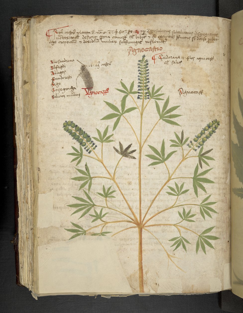 Lägg till MS 41623 f.101v 