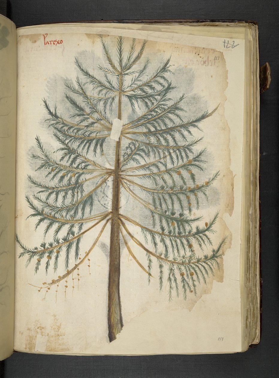 Lägg till MS 41623 f.111r 