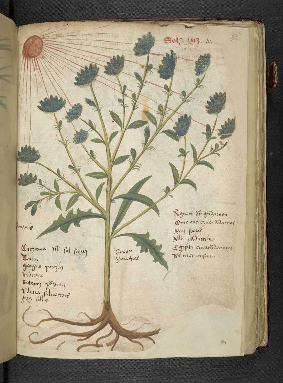 Lägg till MS 41623 f.114r 