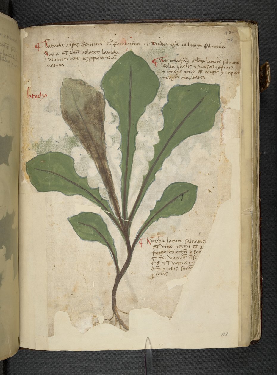 Lägg till MS 41623 f.118r 