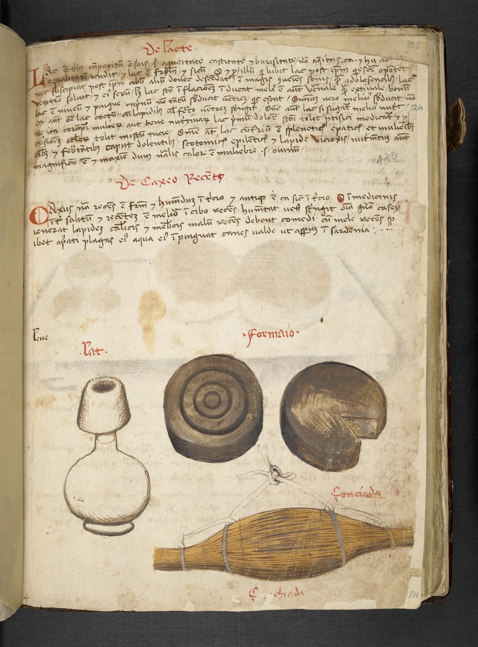 Lägg till MS 41623 f.124r 