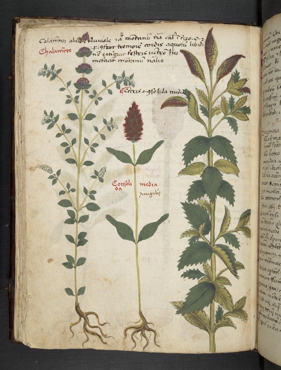 Lägg till MS 41623 f.30v 