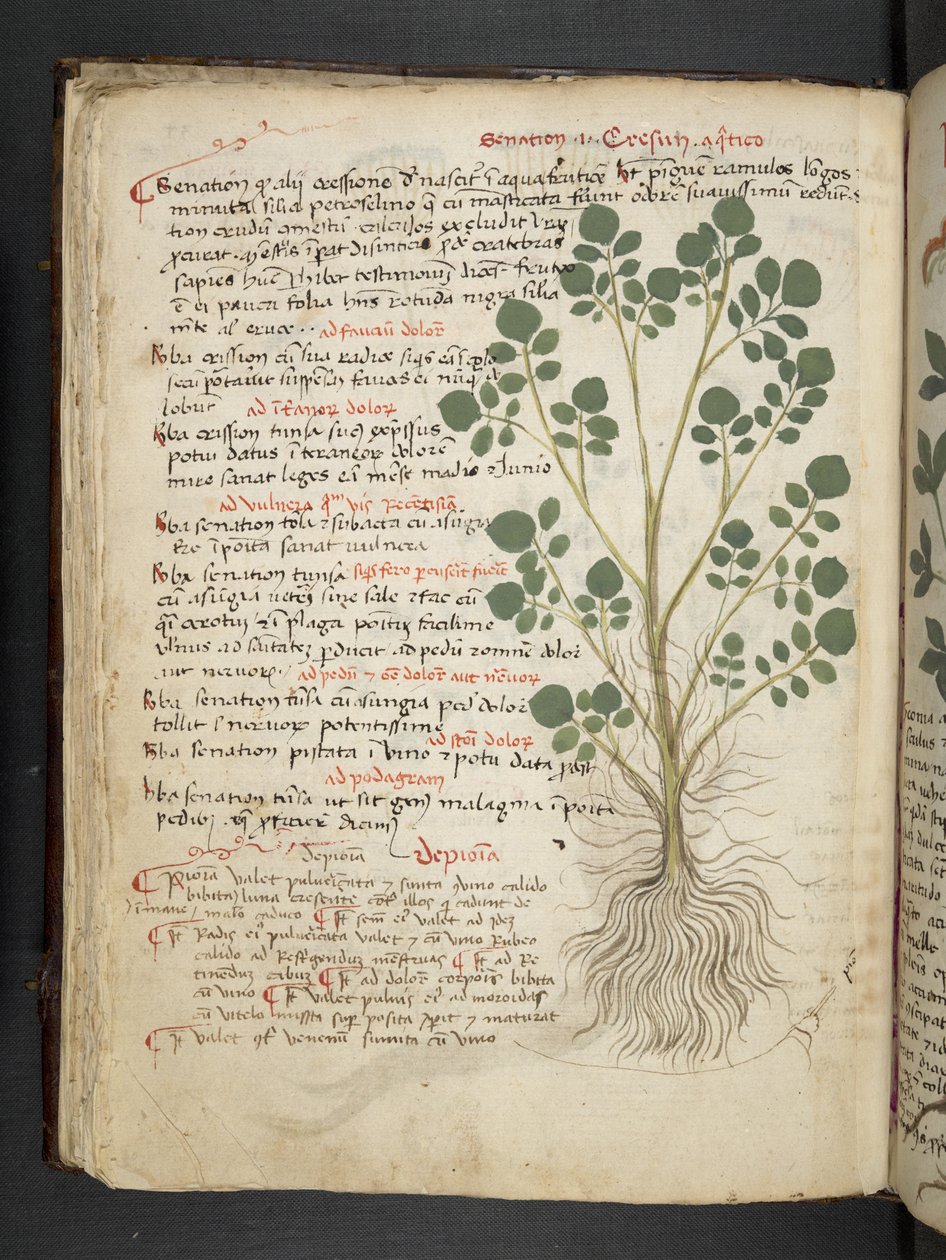 Lägg till MS 41623 f.32v 