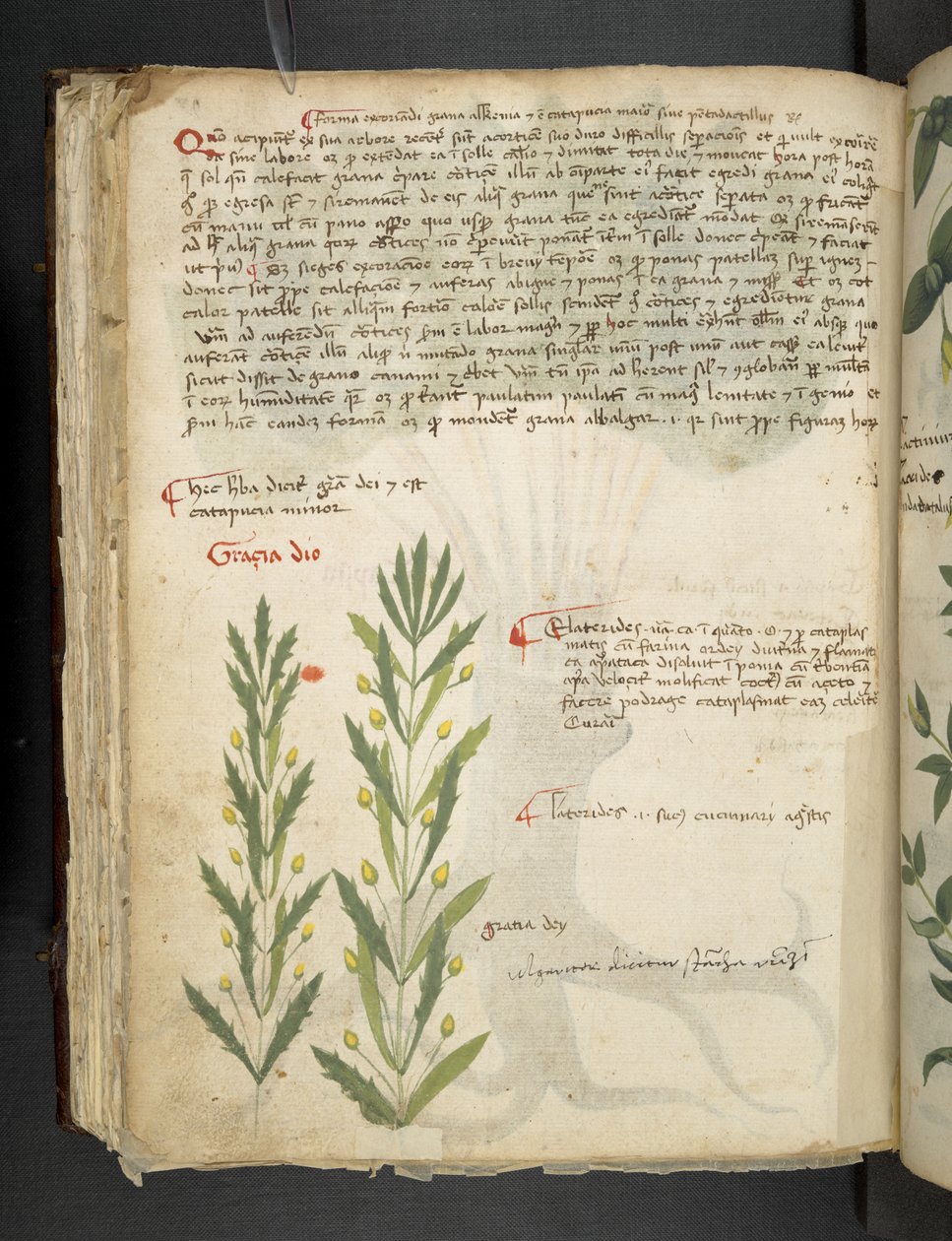 Lägg till MS 41623 f.39v 