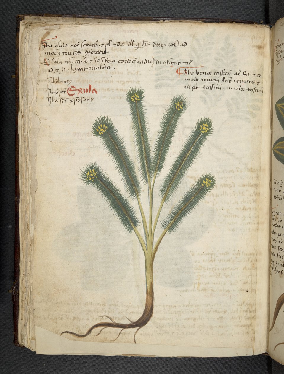 Lägg till MS 41623 f.39v 