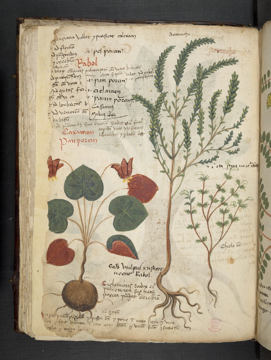Lägg till MS 41623 f.40v 