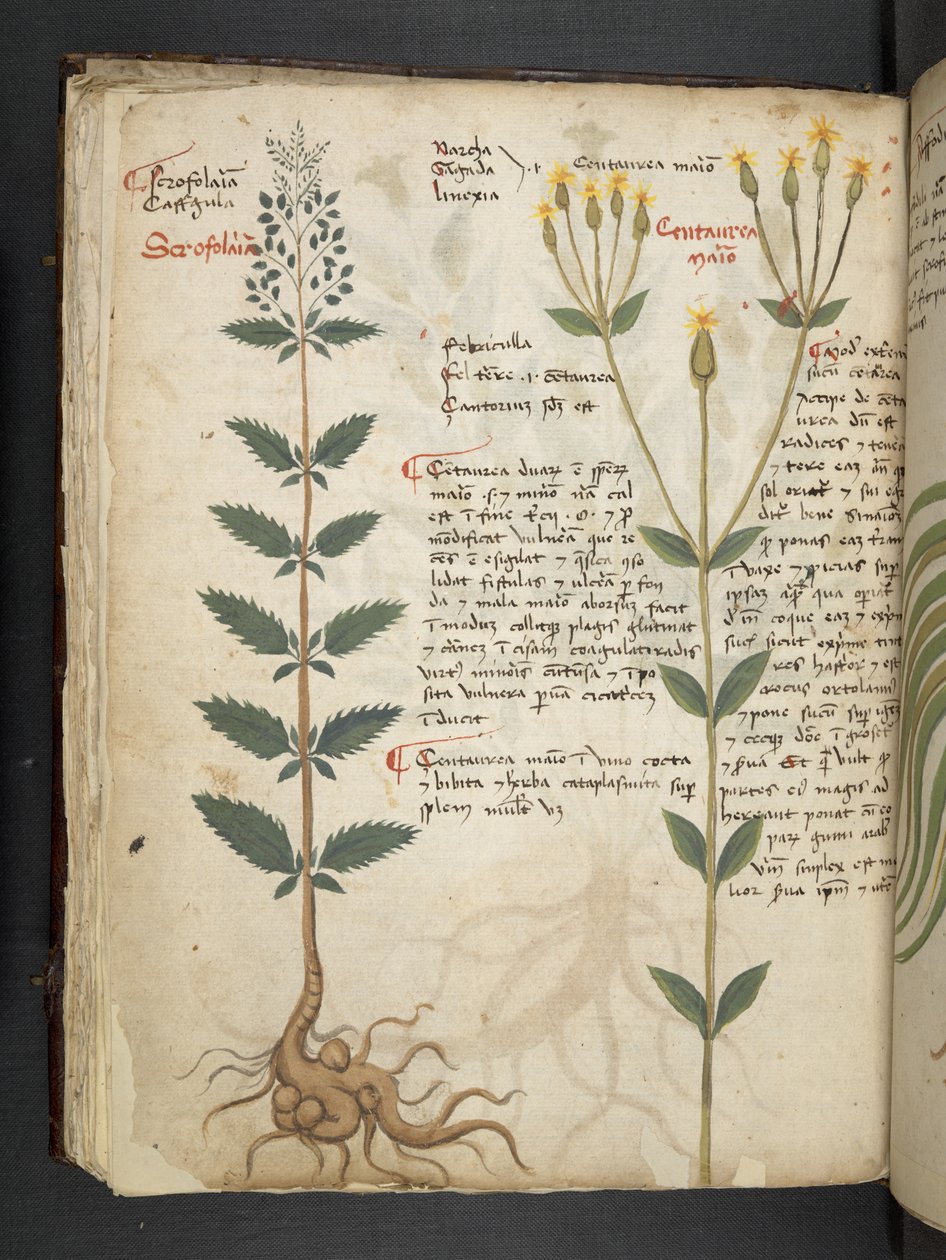 Lägg till MS 41623 f.48v 